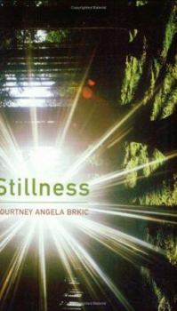 Paperback Stillness Book