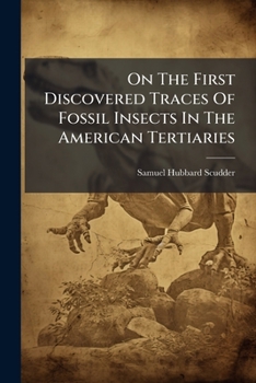 On the First Discovered Traces of Fossil Insects in the American Tertiaries