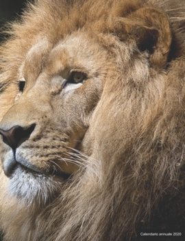 Calendario annuale 2020: ? Manuale dell'organizzatore pratico per il 2020 ? Anteprima di 12 mesi ? 52 pianificatore settimanale con compiti e obiettivi ? formato A4+ ? motif: (Italian Edition)