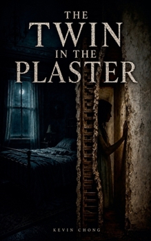 Paperback The Twin In The Plaster Book