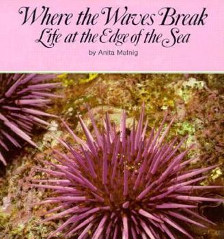 Paperback Where the Waves Break: Life at the Edge of the Sea Book