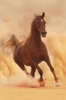 Dynamic Arabian Blank Book Lined Journal