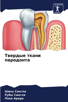 Paperback Твердые ткани пародонта [Russian] Book