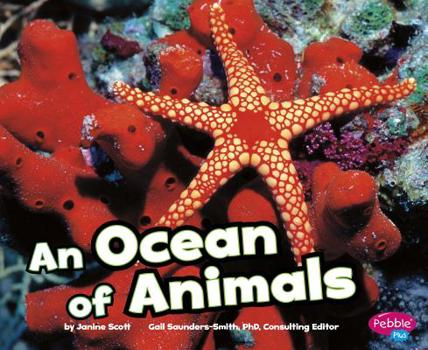 Hardcover An Ocean of Animals Book