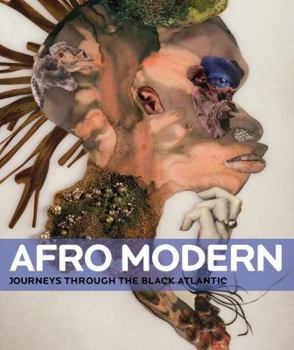 Paperback Afro-Modern: Journeys Through the Black Atlantic Book