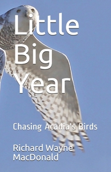 Paperback Little Big Year: Chasing Acadia's Birds Book