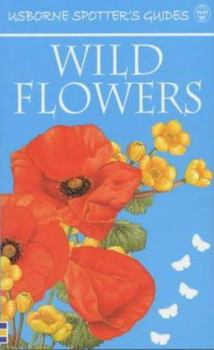 Paperback Wild Flowers Spotter's Guide (Usborne Spotter's Guides) Book