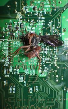 Paperback Dreams of Seventeen Book