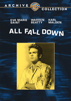 DVD All Fall Down Book