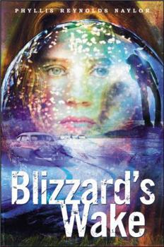 Hardcover Blizzard's Wake Book