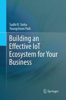 Paperback Building an Effective Iot Ecosystem for Your Business Book