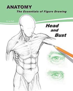 Paperback ANATOMY The Essentials of Figure Drawing: Head and Bust Book