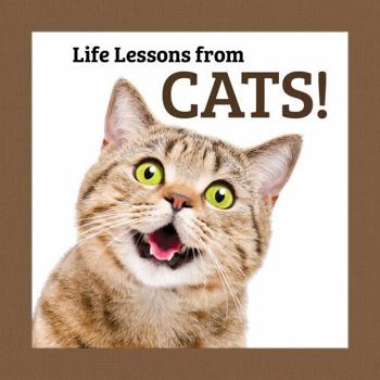 Hardcover Life Lessons from Cats Book