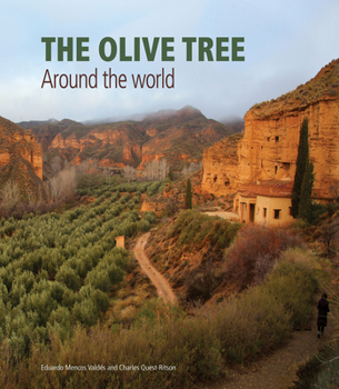 Hardcover The Olive Tree: Around the World Book