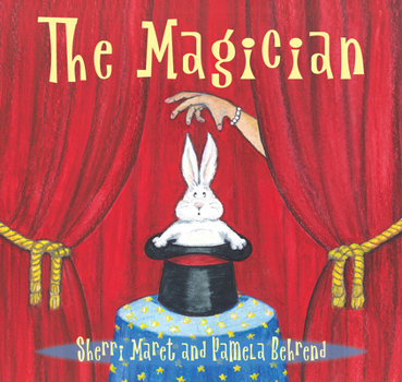 Hardcover The Magician Book