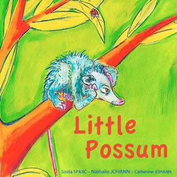 Paperback Little Possum Book