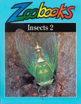 Paperback Insects II Book
