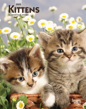Calendar Kittens 2023 Engagement Book
