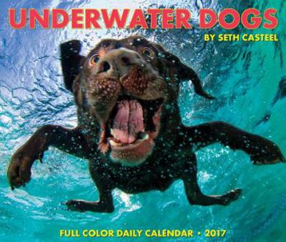 Underwater Dogs 2017 Box Calendar