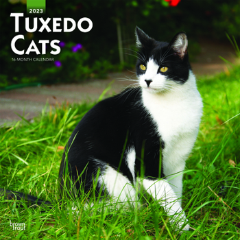 Calendar Tuxedo Cats 2023 Square Book
