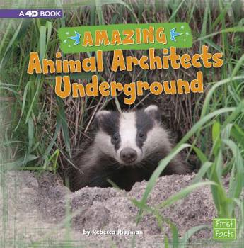 Paperback Amazing Animal Architects Underground: A 4D Book