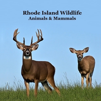Rhode Island Animals and Mammals Kids Wildlife Book: Great Wildlife Book about Animals and Mammals in Rhode Island