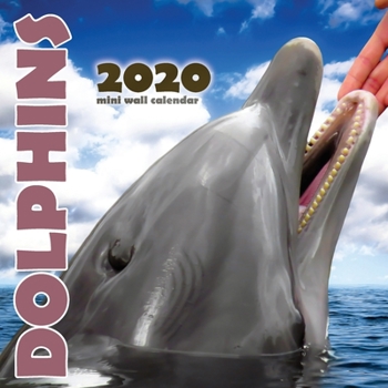 Paperback Dolphins 2020 Mini Wall Calendar Book