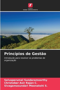Princípios de Gestão: Introdução para resolver os problemas de organização