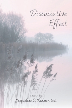 Paperback Dissociative Effect Book
