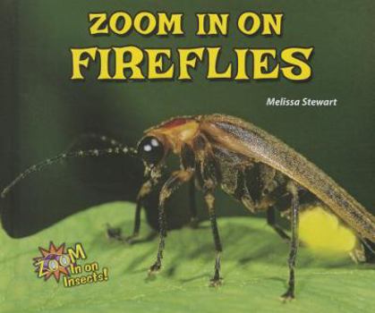 Library Binding Zoom in on Fireflies Book