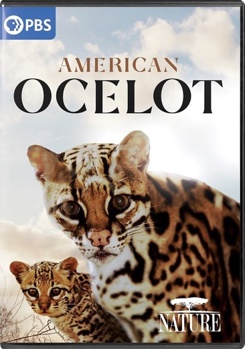 DVD Nature: American Ocelot Book
