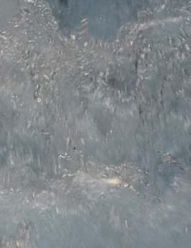 Paperback Water Notebook Large Size 8.5 X 11 Ruled 150 Pages Softcover Book