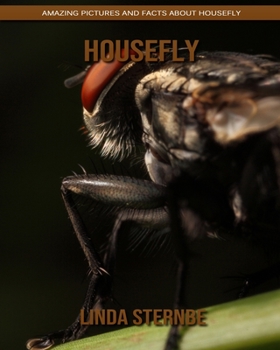 Paperback Housefly: Amazing Pictures and Facts About Housefly Book