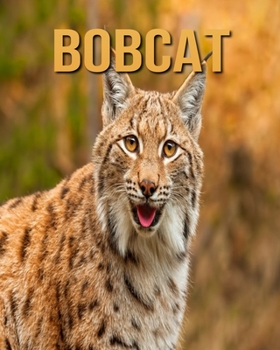 Paperback Bobcat Book