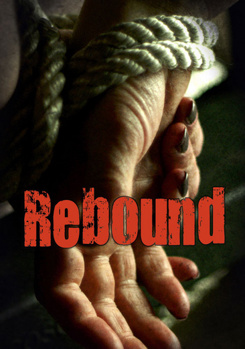 DVD Rebound Book