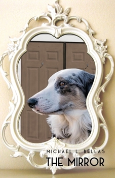 Paperback The Mirror Book