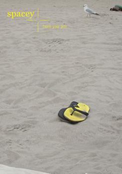 Paperback Spacey: The Beach Book