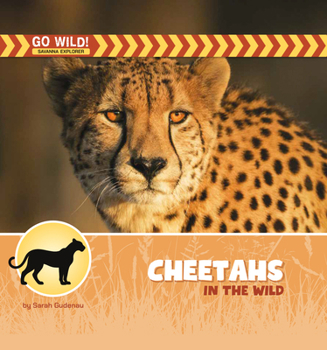 Cheetahs in the Wild
