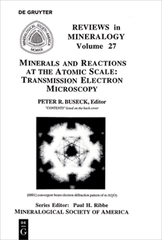 Paperback Minerals and Reactions at the Atomic Scale Book