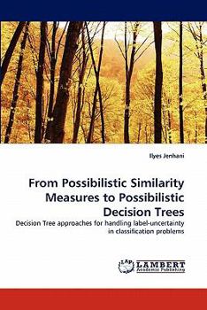 Paperback From Possibilistic Similarity Measures to Possibilistic Decision Trees Book