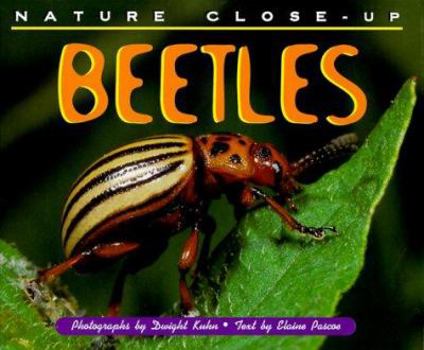 Hardcover Beetles Book