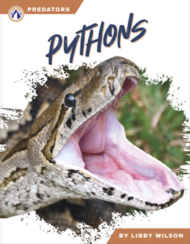 Library Binding Pythons Book