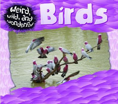 Birds - Book  of the Weird, Wild, and Wonderful