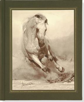 Hardcover Equus Oversized Journal Book