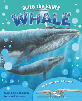 Hardcover Build the Bones: Whale [With 3-D Model] Book