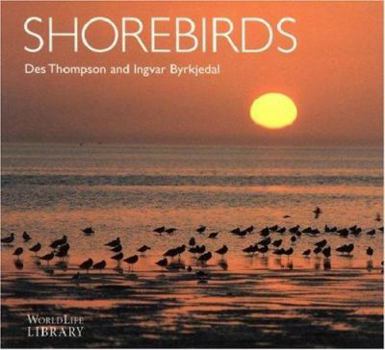 Paperback Shorebirds Book