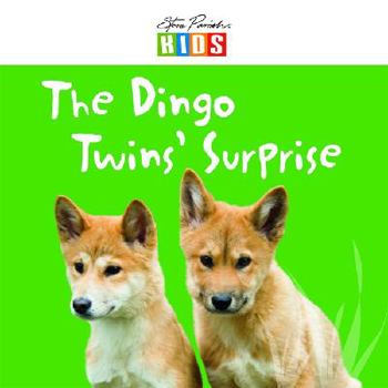Paperback The Dingo Twins' Surprise Book