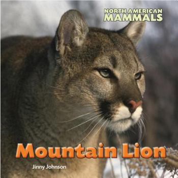 Hardcover Mountain Lion Book