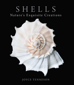 Hardcover Shells: Nature's Exquisite Creations Book