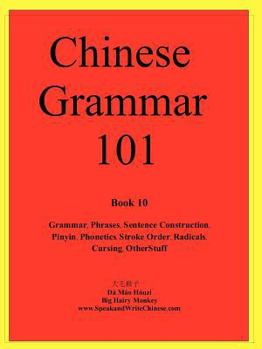 Paperback Chinese Grammar 101 Book